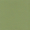 56 Thunderbird Sage Green Small Vinyl Floor Cover